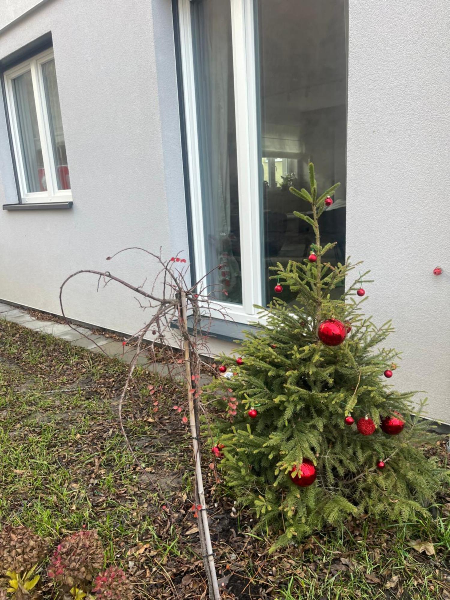Apartament Kaszmirowy Bielsko-Biała Exterior photo