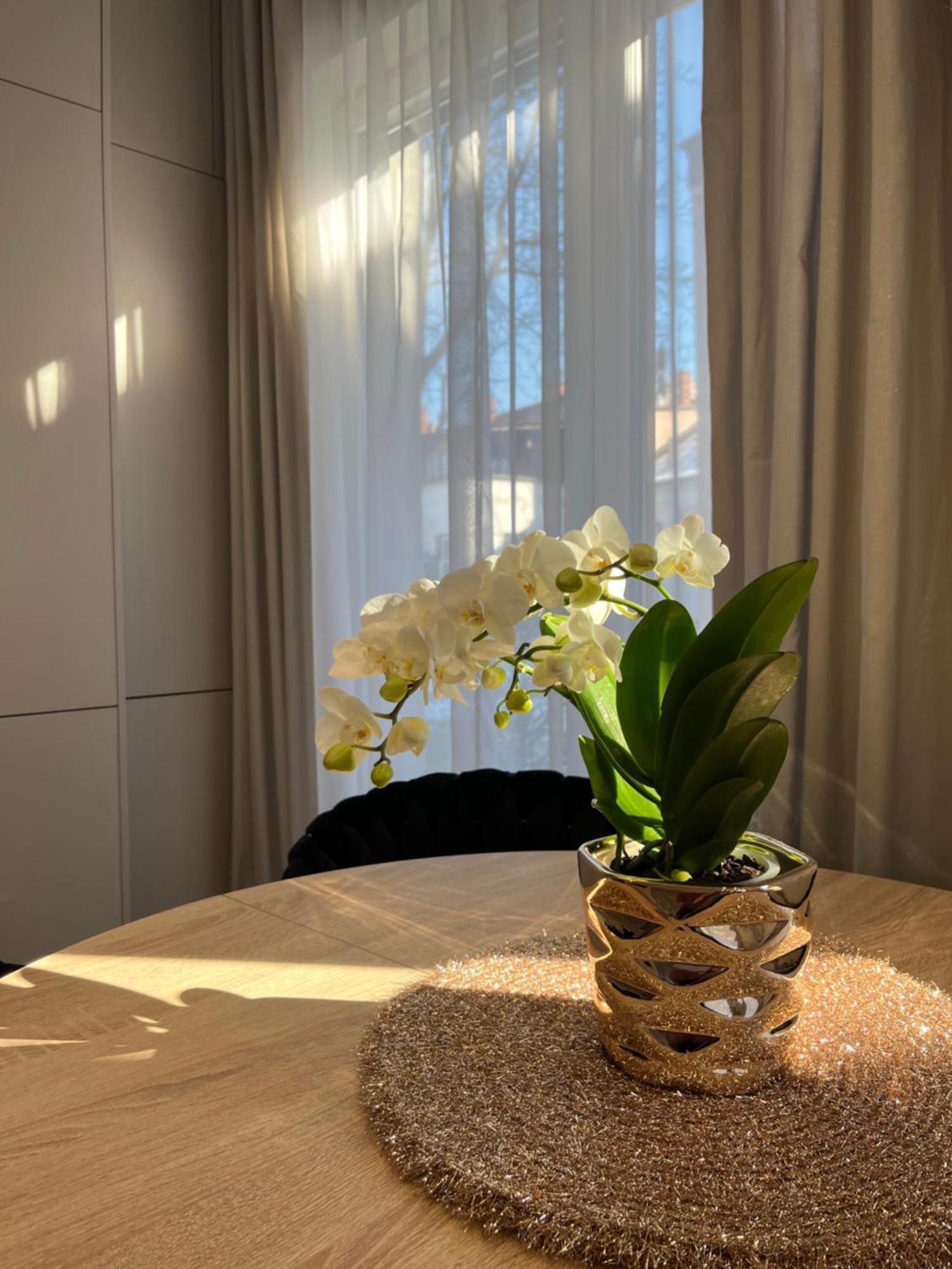 Apartament Kaszmirowy Bielsko-Biała Exterior photo